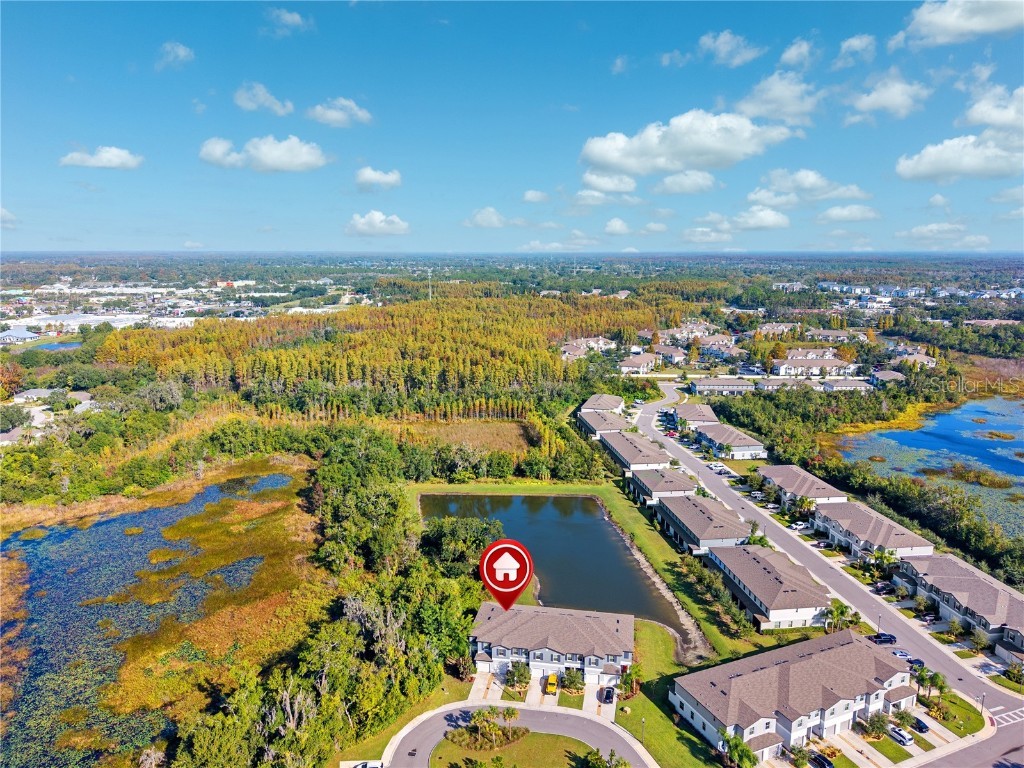 23217 Willow Glen Way Lutz FL 33549 TB8446732 image42