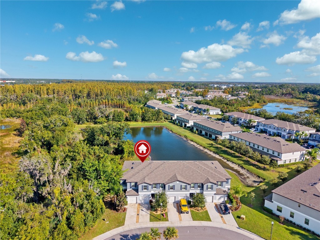 23217 Willow Glen Way Lutz FL 33549 TB8446732 image43