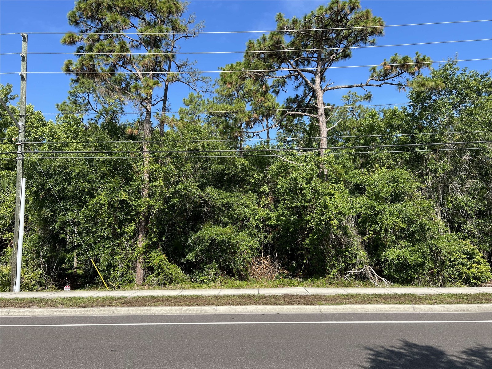 2322-2328 Rouse Road Orlando FL 32817 TB8519504 image1