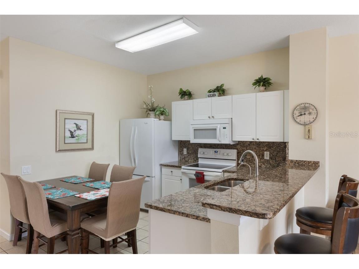 2322 Silver Palm Drive Kissimmee FL 34747 S5126708 image6