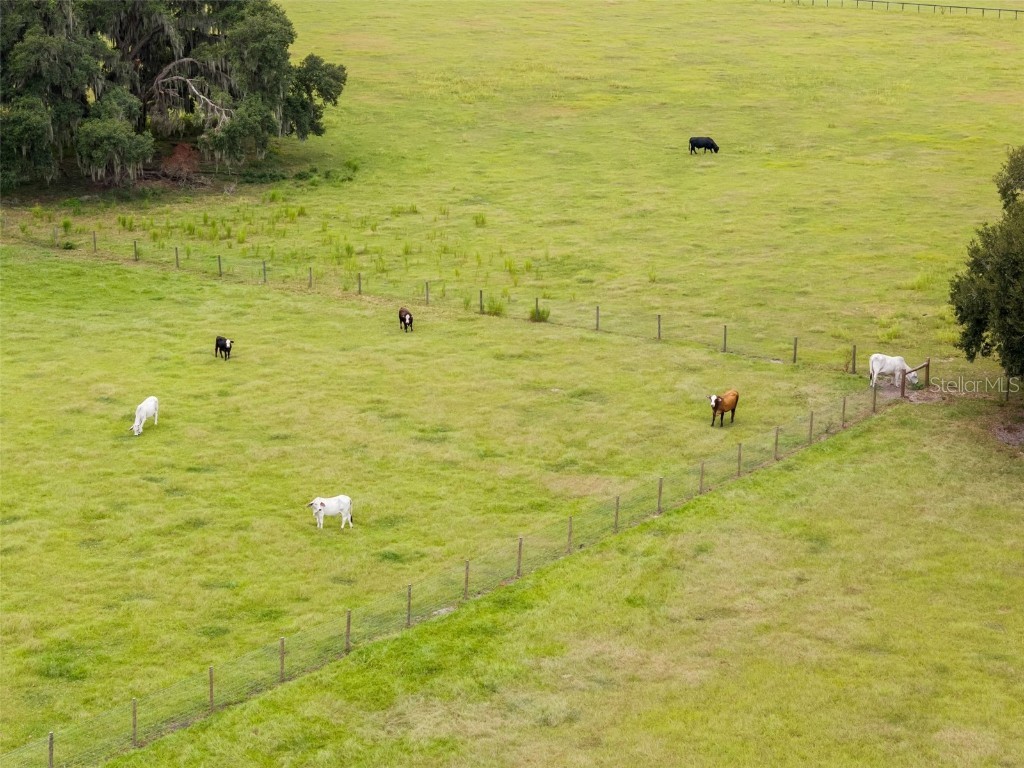 23220 Nw 27th St Morriston FL 32668 OM710235 image34