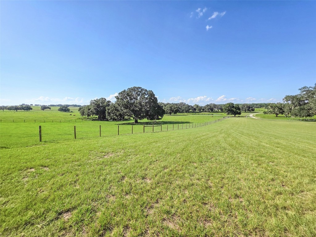 23220 Nw 27th St Morriston FL 32668 OM710235 image35