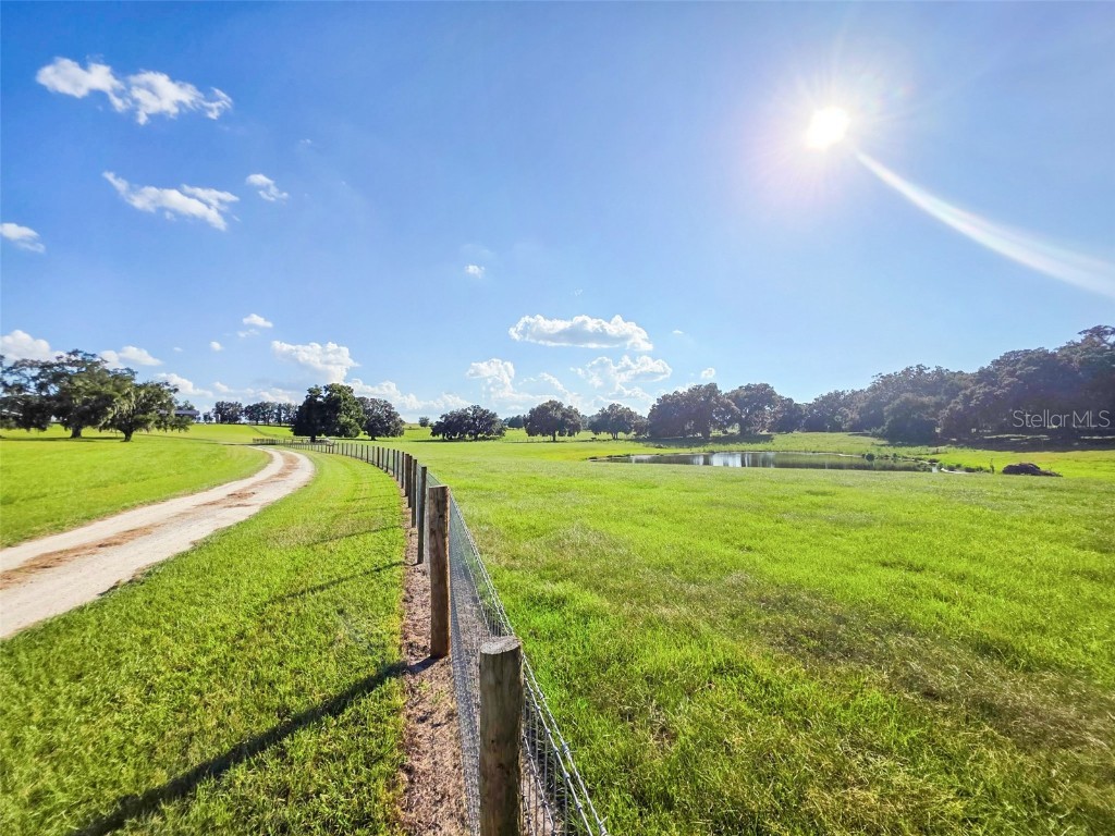 23220 Nw 27th St Morriston FL 32668 OM710235 image36