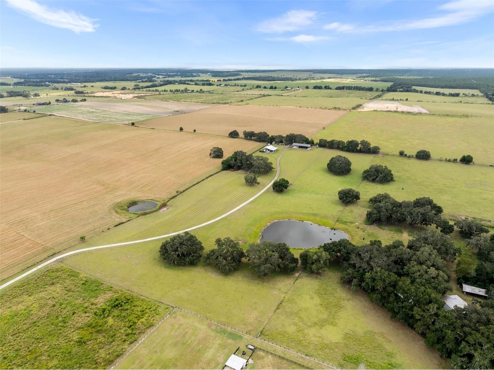 23220 Nw 27th St Morriston FL 32668 OM710235 image45