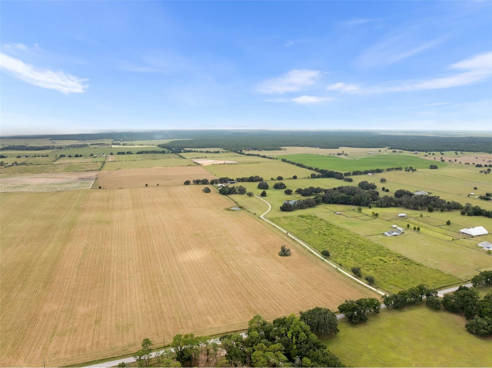 23220 Nw 27th St Morriston FL 32668 OM710235 image47