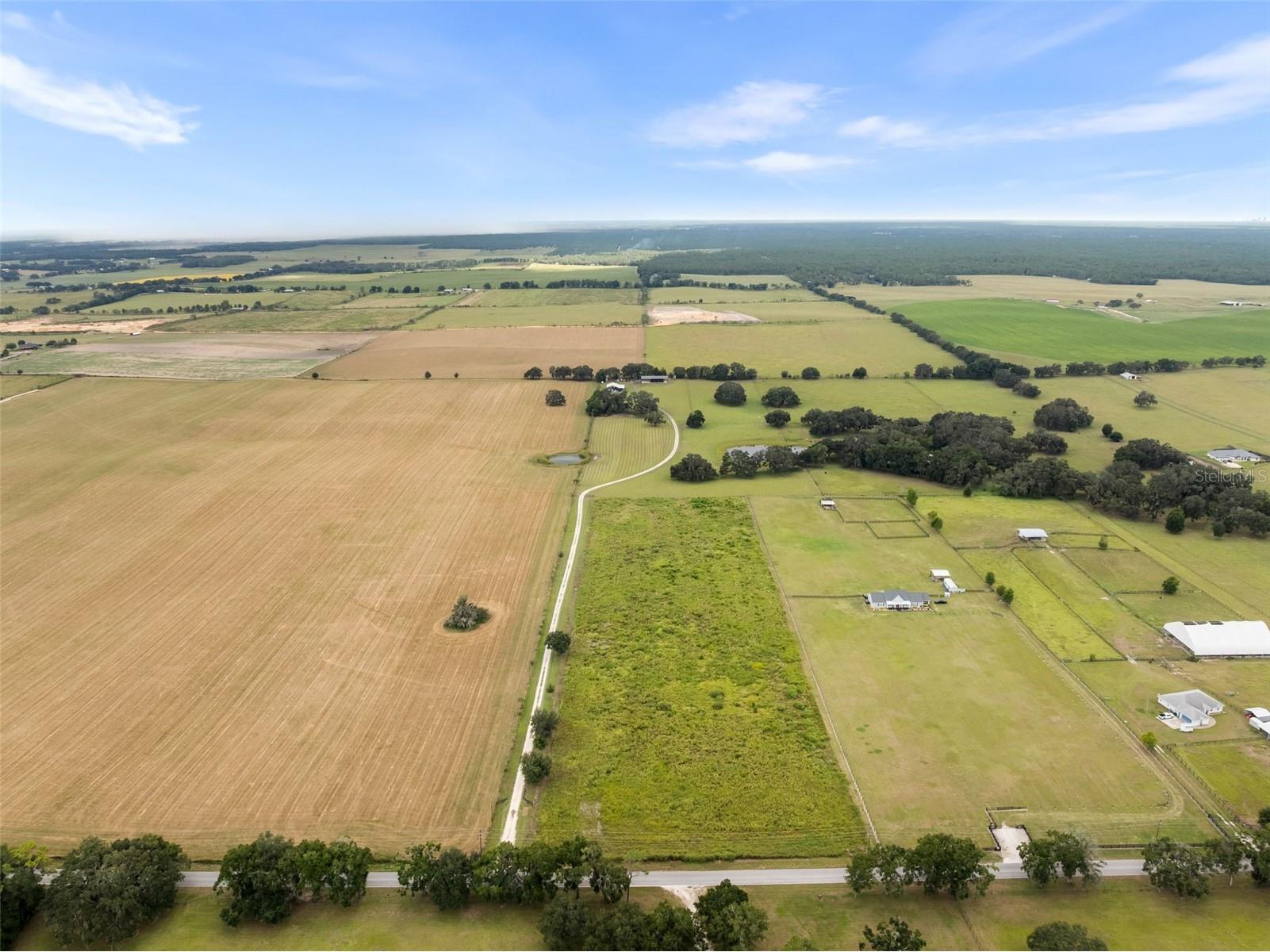 23220 Nw 27th St Morriston FL 32668 OM710235 image48