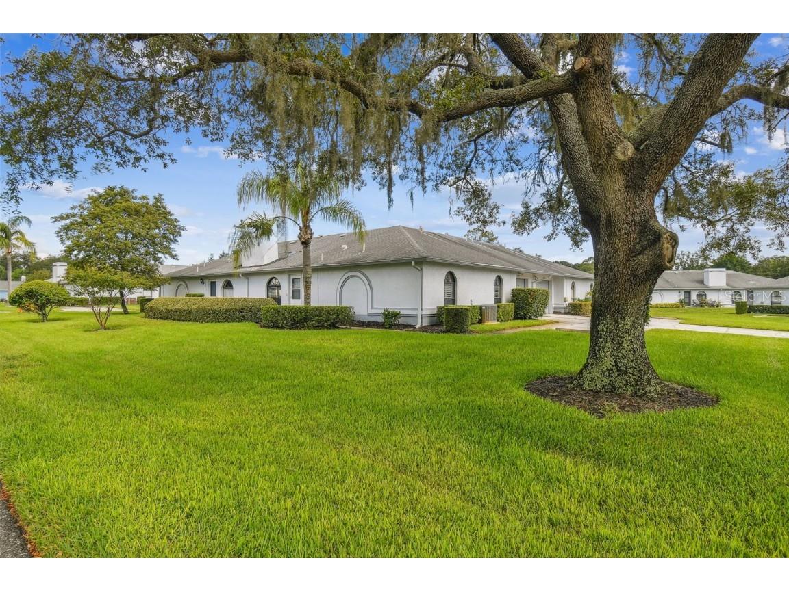 23221 Club Villas Drive Land O Lakes FL 34639 T3545518 image1