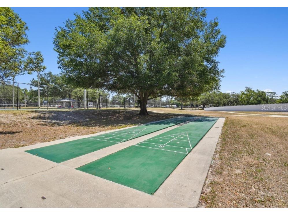 23223 Club Villas Drive #23223 Land O Lakes FL 34639 TB8515175 image35