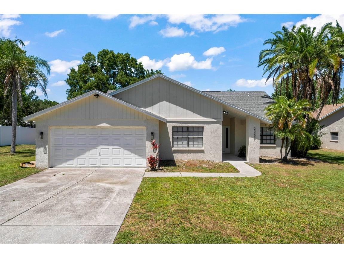 23227 Chelsea Loop Land O Lakes FL 34639 T3437020 image1