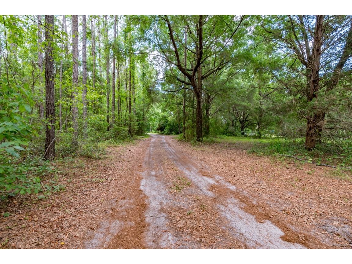 23227 W Newberry Road Newberry FL 32669 GC531296 image25