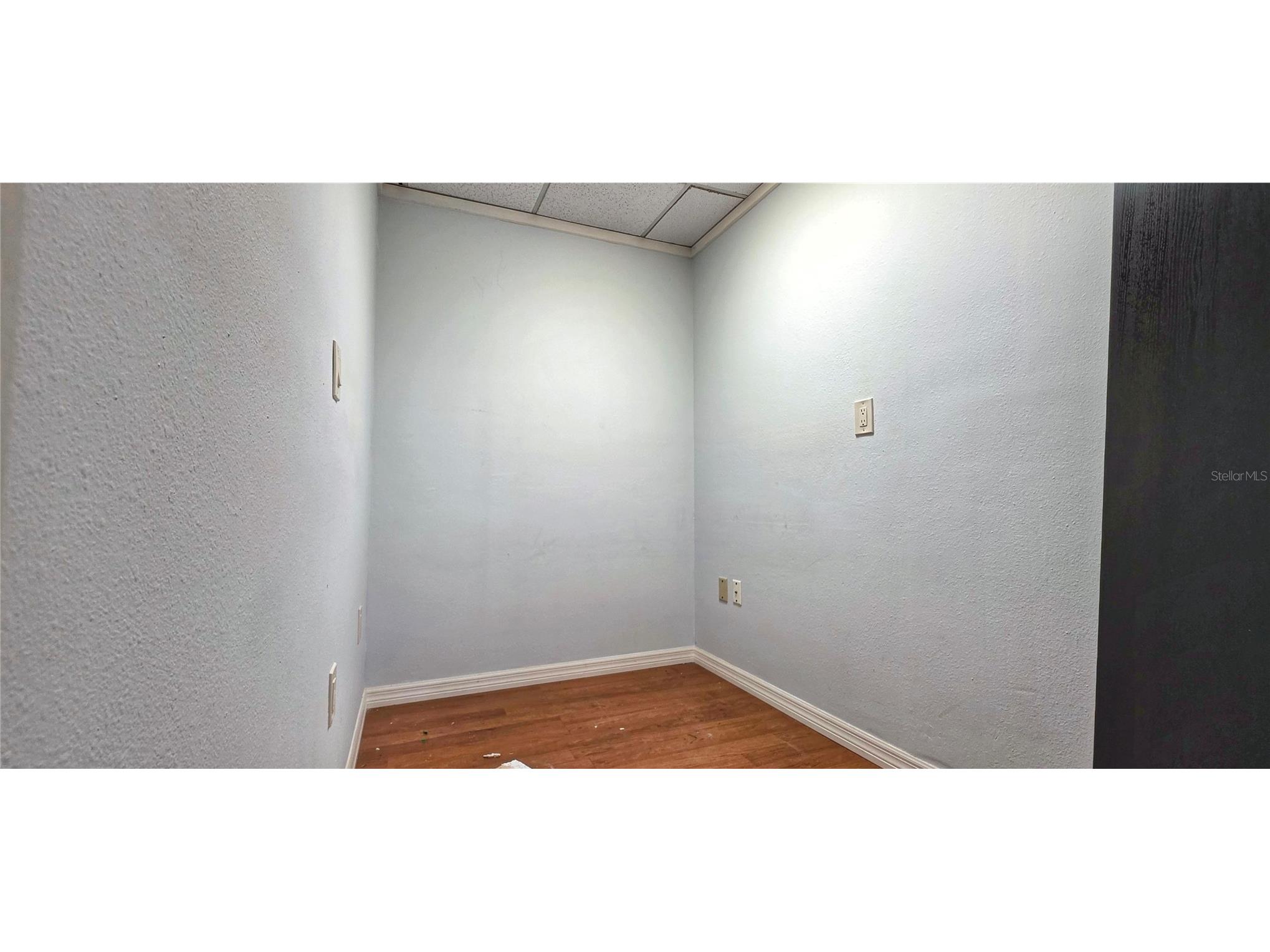2323 Curlew Road #7B Dunedin FL 34698 W7884070 image19