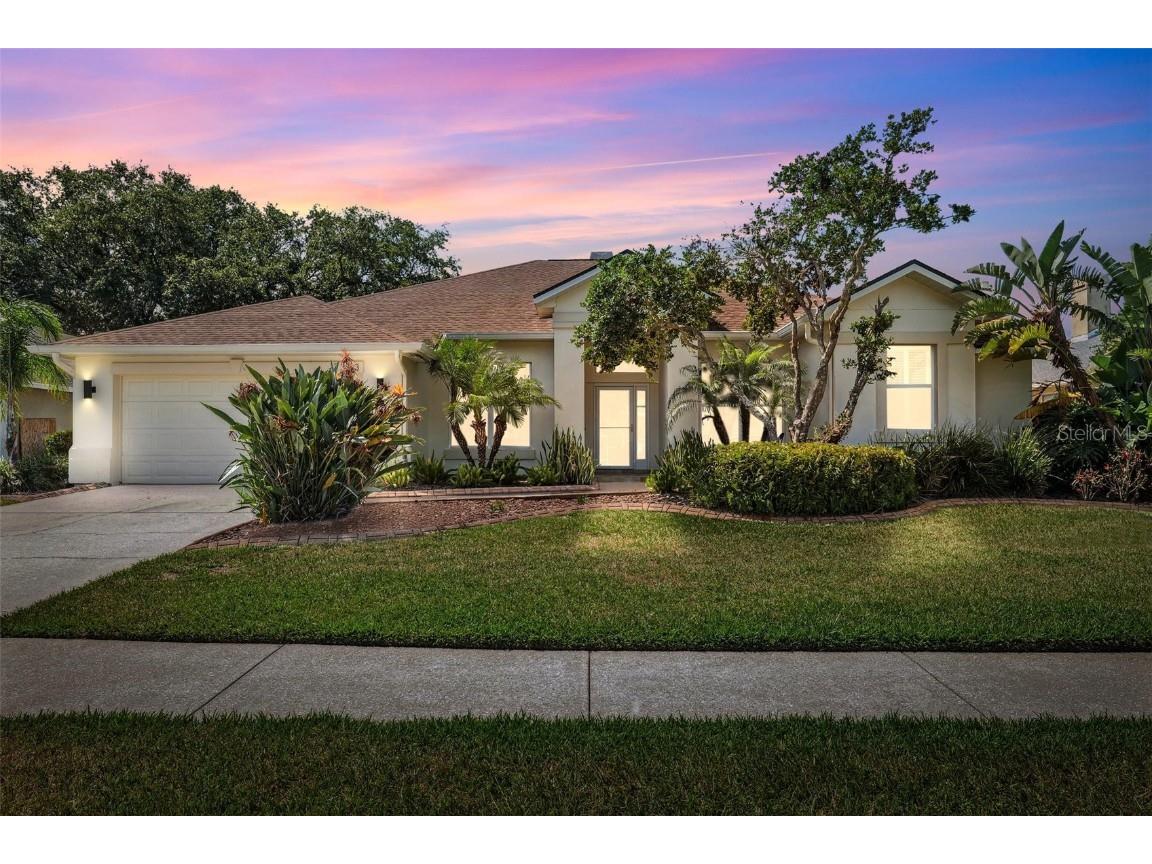 2323 Eagle Bluff Drive Valrico FL 33596 TB8375416 image1