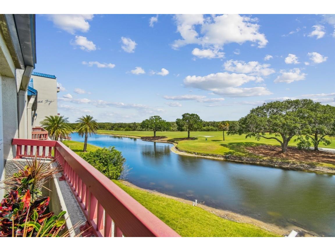 2323 Feather Sound Drive #305 Clearwater FL 33762 U8198847 image1