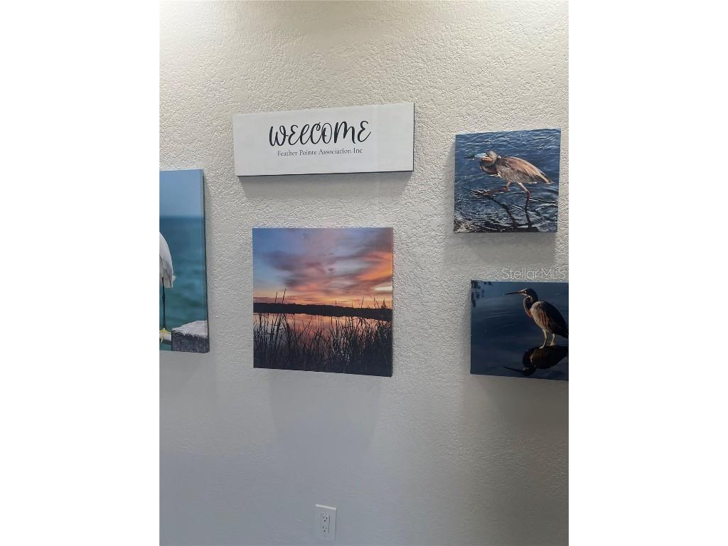 2323 Feather Sound Drive #F101 Clearwater FL 33762 TB8450181 image36