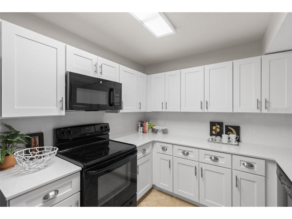 2323 Feather Sound Drive #F101 Clearwater FL 33762 TB8450181 image7