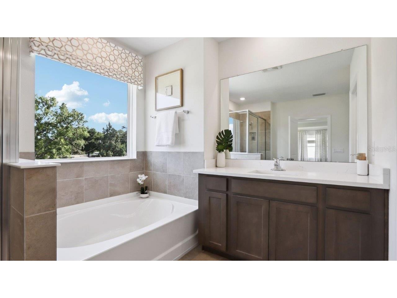 2323 Rikkola Lane Wesley Chapel FL 33543 TB8453869 image20