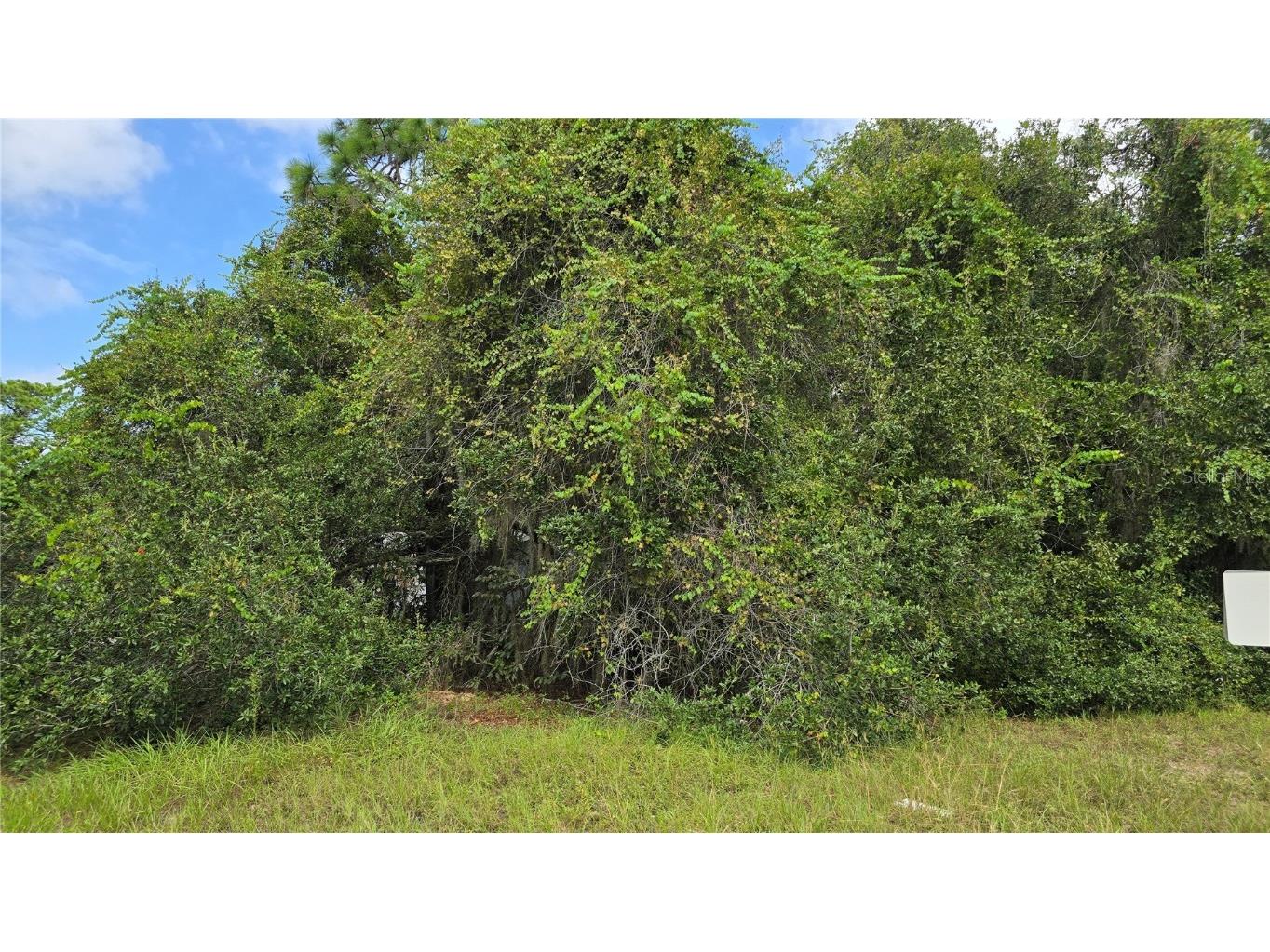 2323 S Hicks Grove Road Inverness FL 34450 OM710828 image1