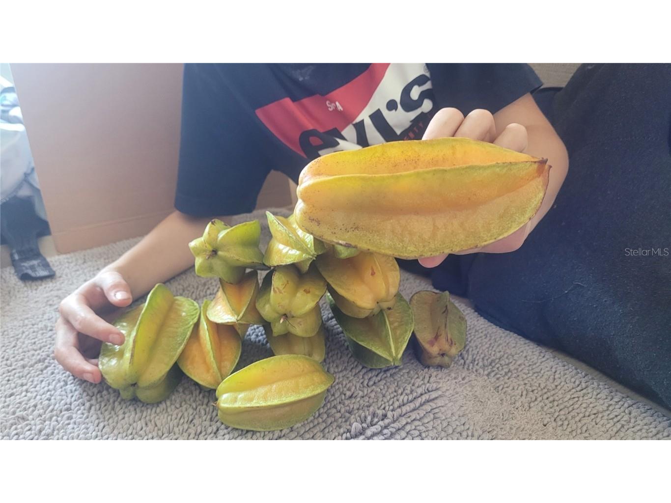 2323 Santa Ana Street Kissimmee FL 34743 S5109145 image31