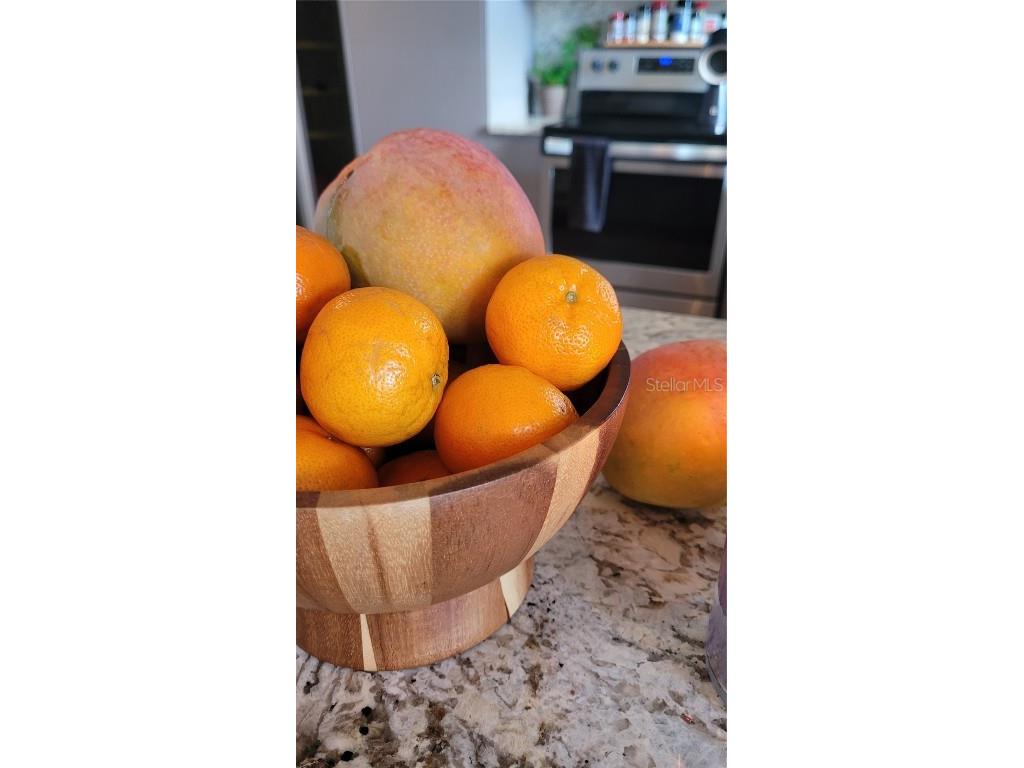 2323 Santa Ana Street Kissimmee FL 34743 S5109145 image32