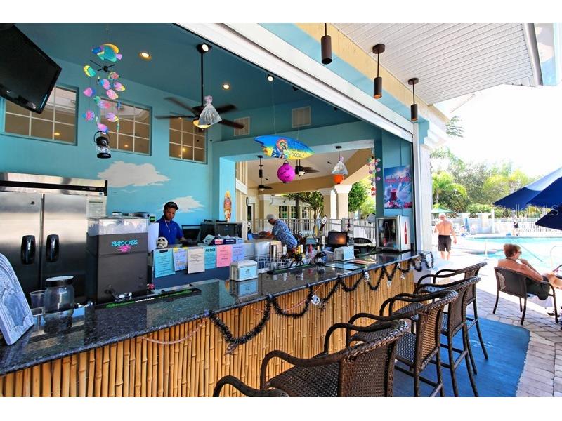 2323 Silver Palm Drive Kissimmee FL 34747 O6380885 image51