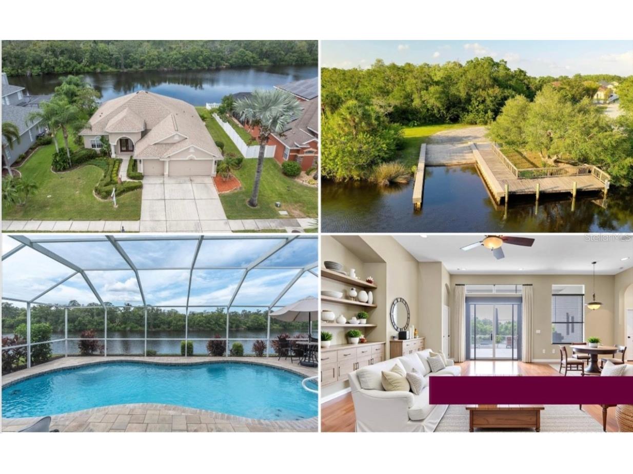 2323 Tarragon Lane Trinity FL 34655 W7878497 image1
