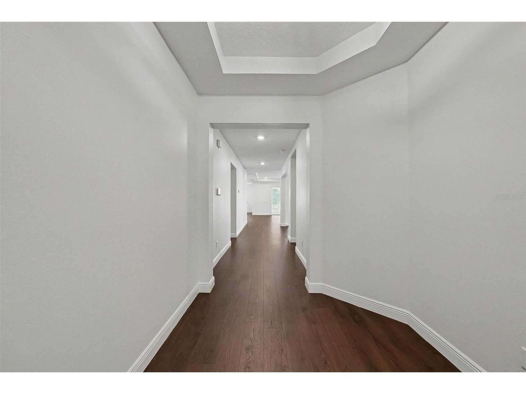 23231 Scaglione Drive Lutz FL 33549 TB8510833 image20