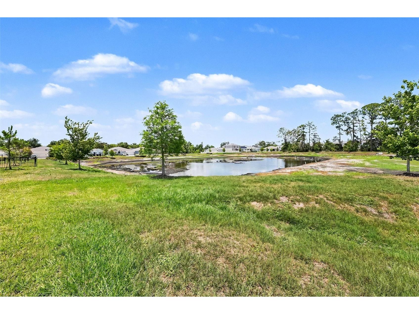 23231 Scaglione Drive Lutz FL 33549 TB8510833 image35