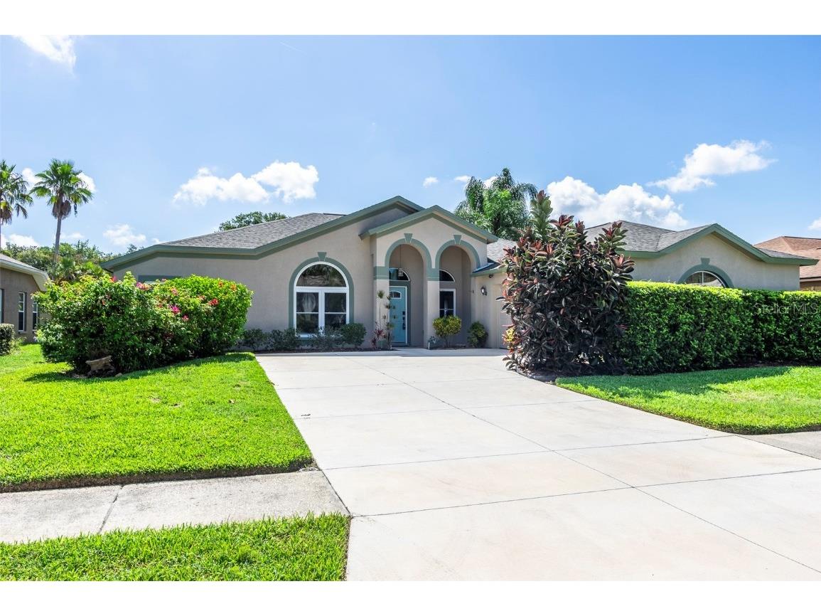 23233 Cypress Trail Drive Lutz FL 33549 T3536686 image1