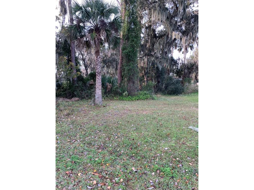 2324 Orange Tree Drive Edgewater FL 32141 NS1080350 image1