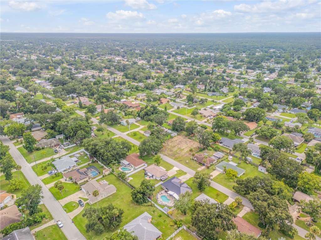 2324 Orange Tree Drive Edgewater FL 32141 NS1082324 image4