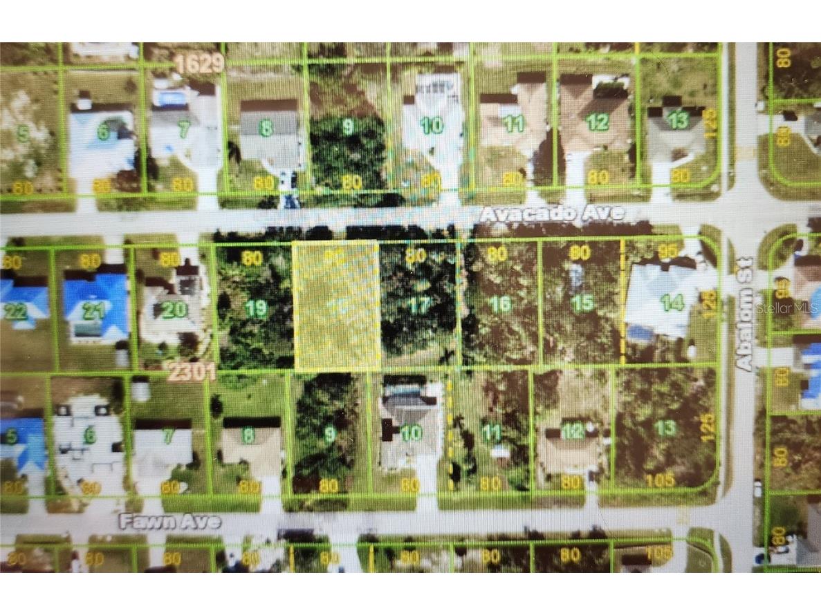 23243 Avacado Avenue Punta Gorda FL 33980 D6138331 image1