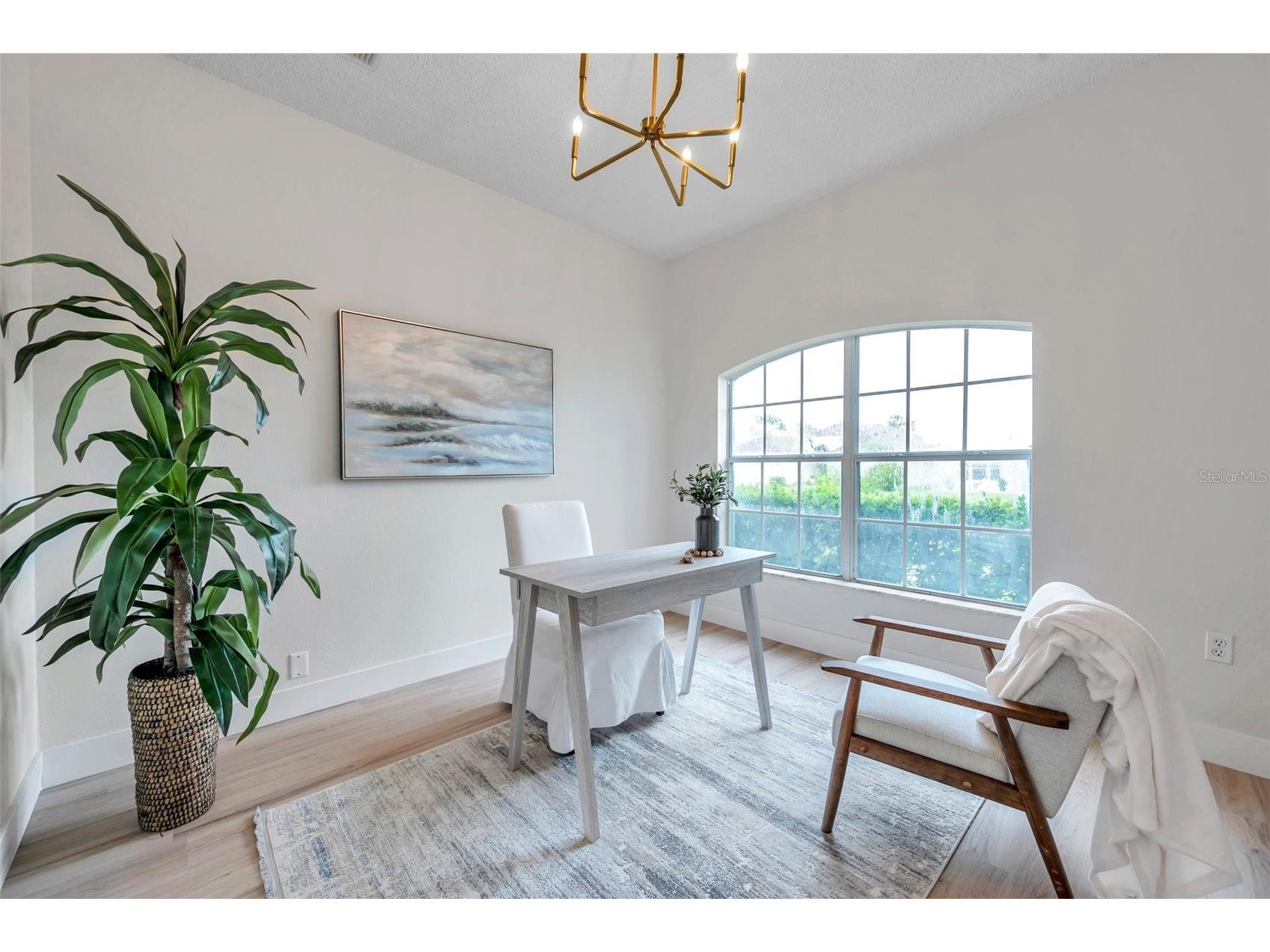 2325 Indian Key Drive Holiday FL 34691 TB8404736 image11