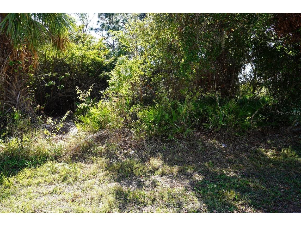 23255 Stelling Avenue Port Charlotte FL 33980 C7503195 image1