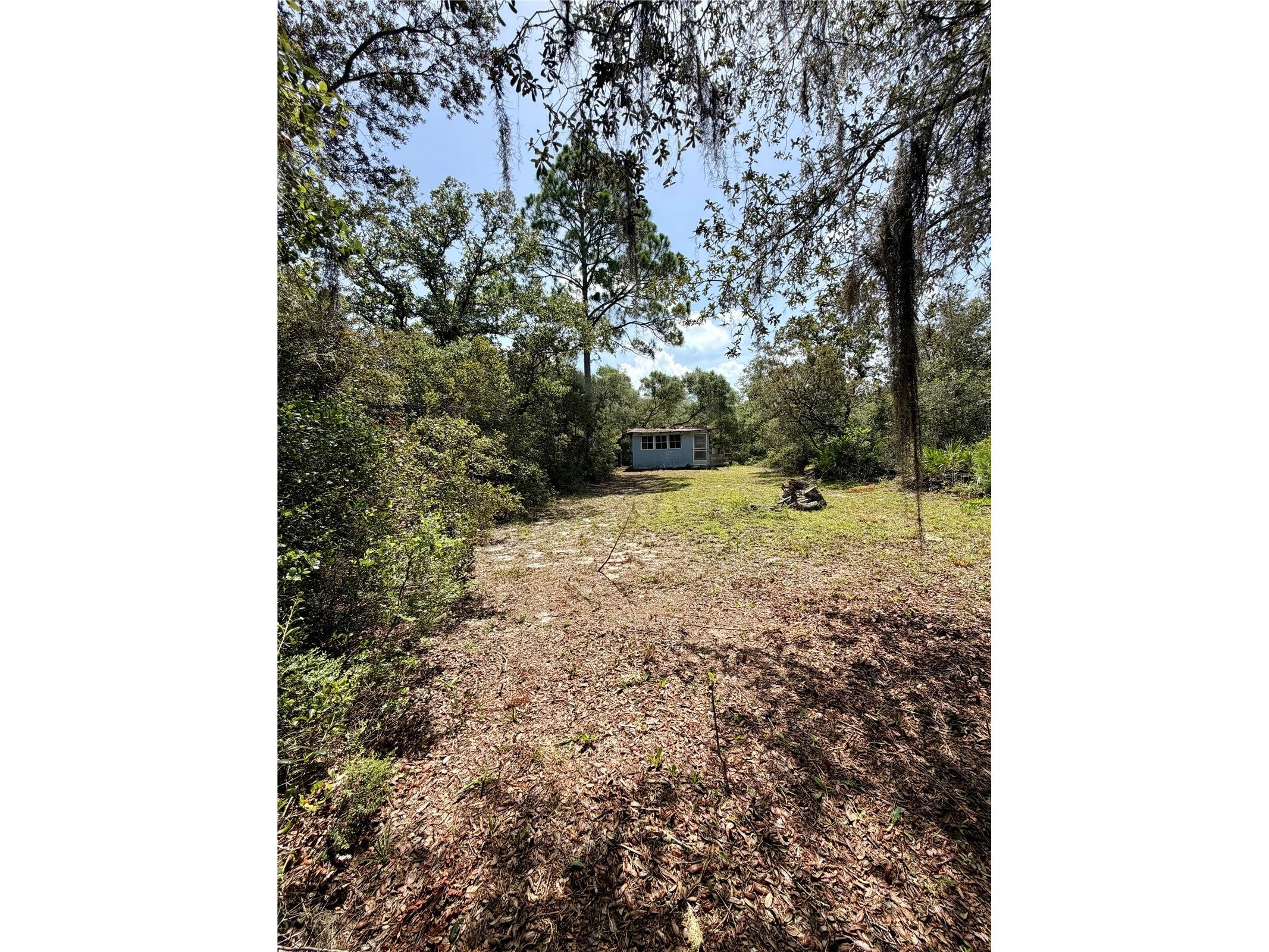 23258 NE 159th Avenue Fort Mc Coy FL 32134 OM728425 image11