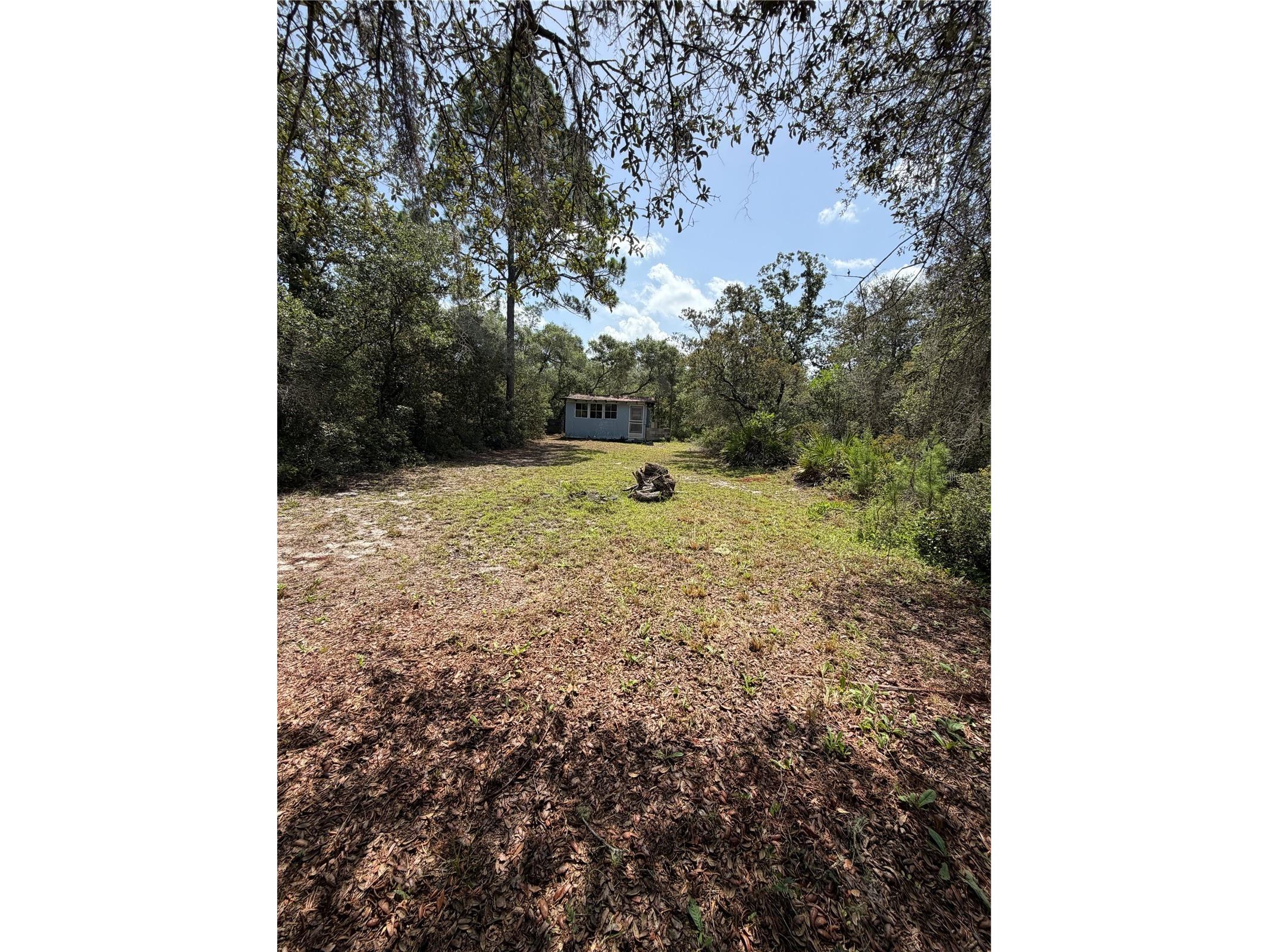 23258 NE 159th Avenue Fort Mc Coy FL 32134 OM728425 image12