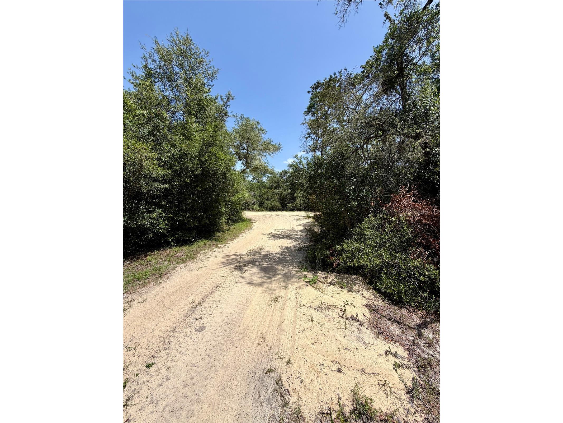 23258 NE 159th Avenue Fort Mc Coy FL 32134 OM728425 image13