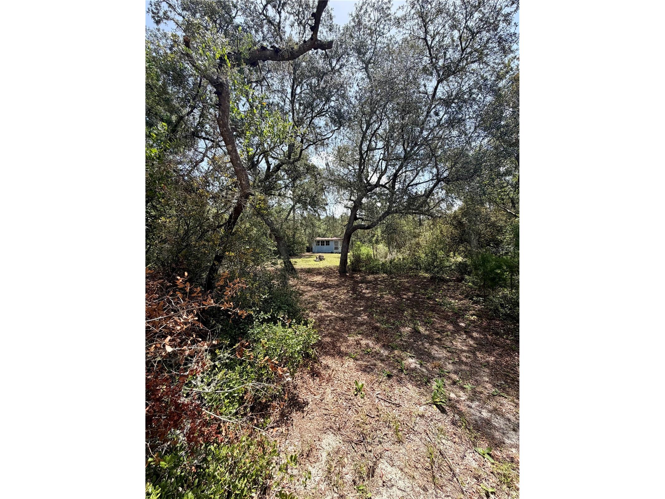 23258 NE 159th Avenue Fort Mc Coy FL 32134 OM728425 image14