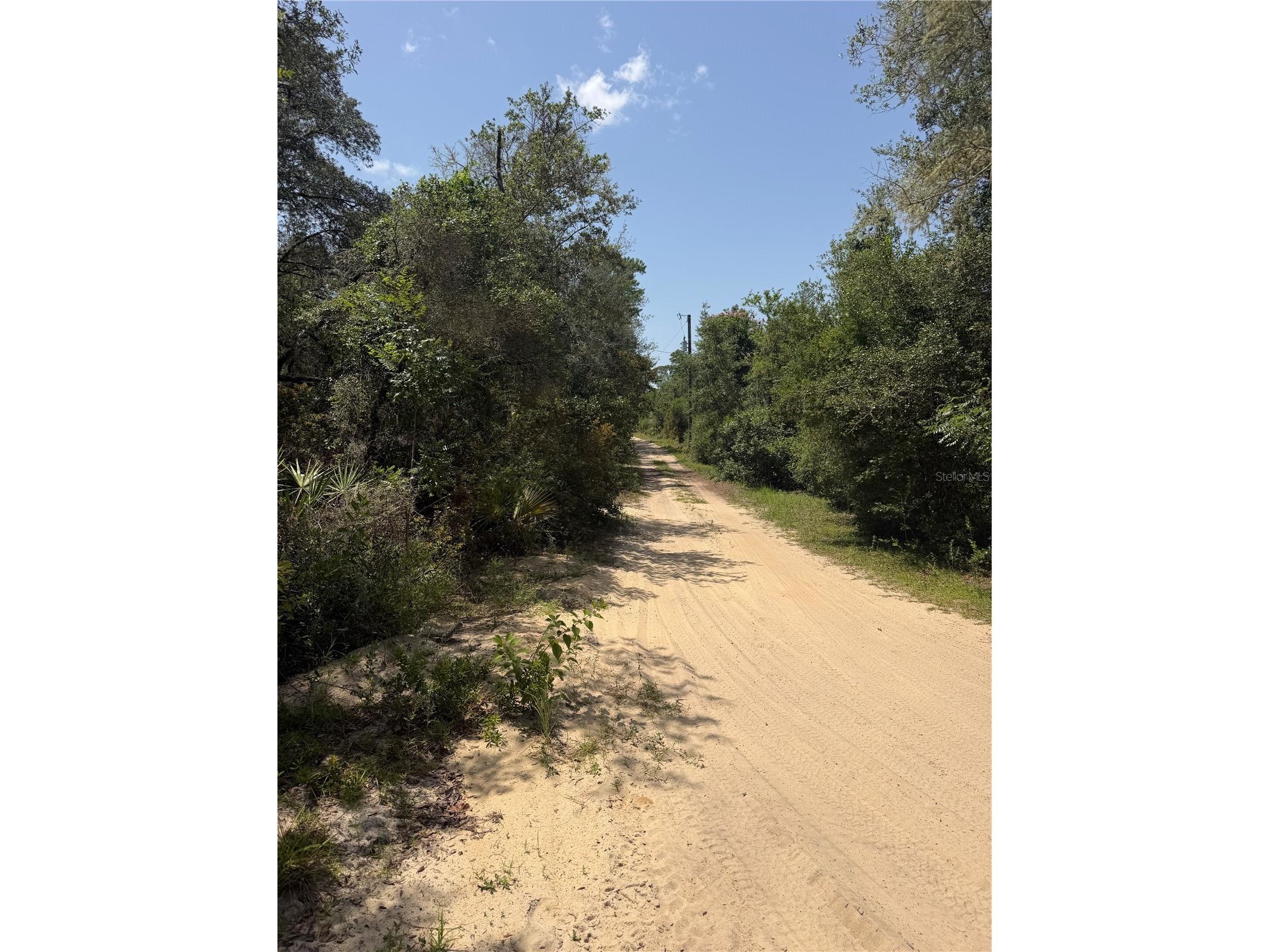 23258 NE 159th Avenue Fort Mc Coy FL 32134 OM728425 image19