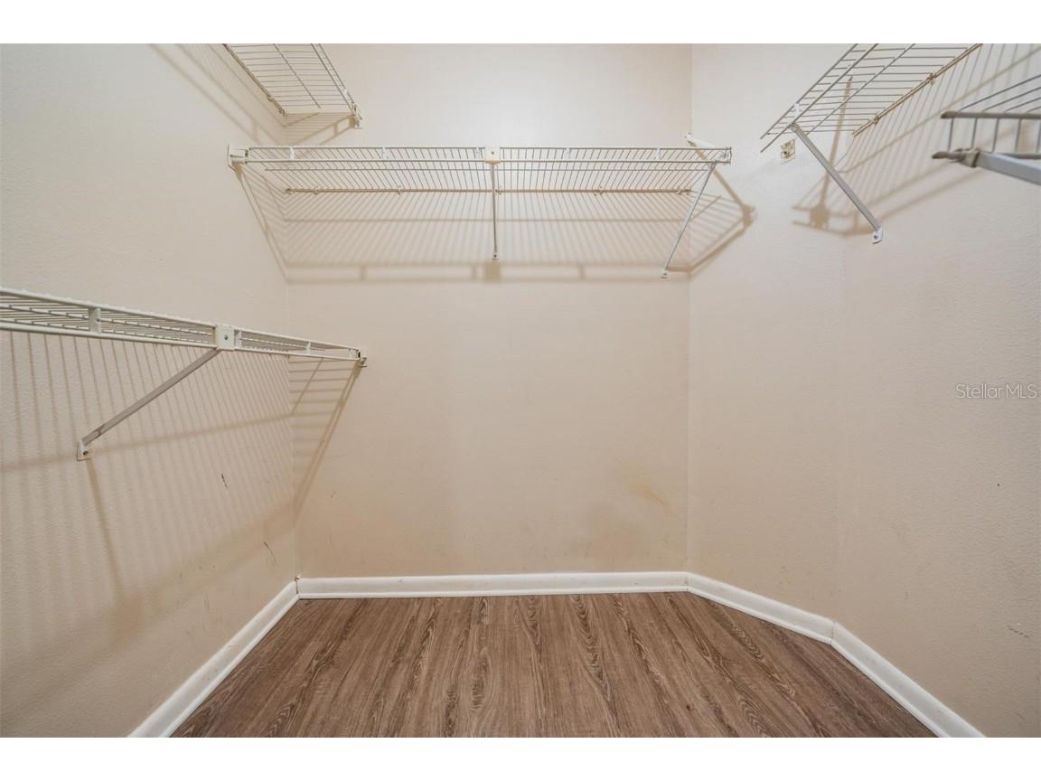 2326 Forrest Crest Circle Lutz FL 33549 TB8431059 image14