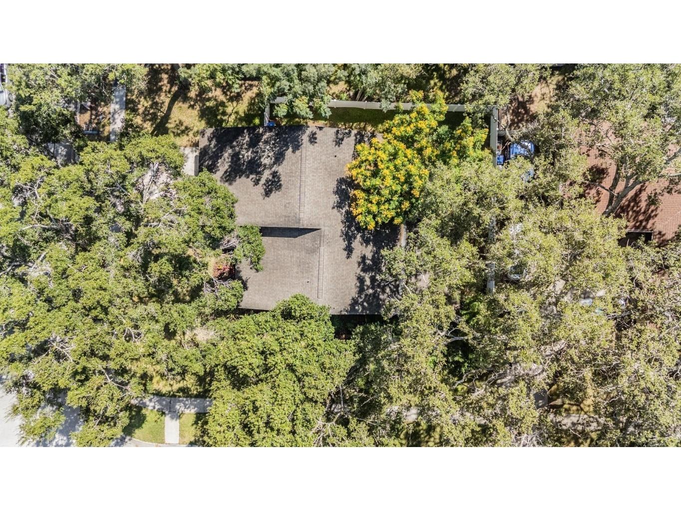 2326 Forrest Crest Circle Lutz FL 33549 TB8431059 image23