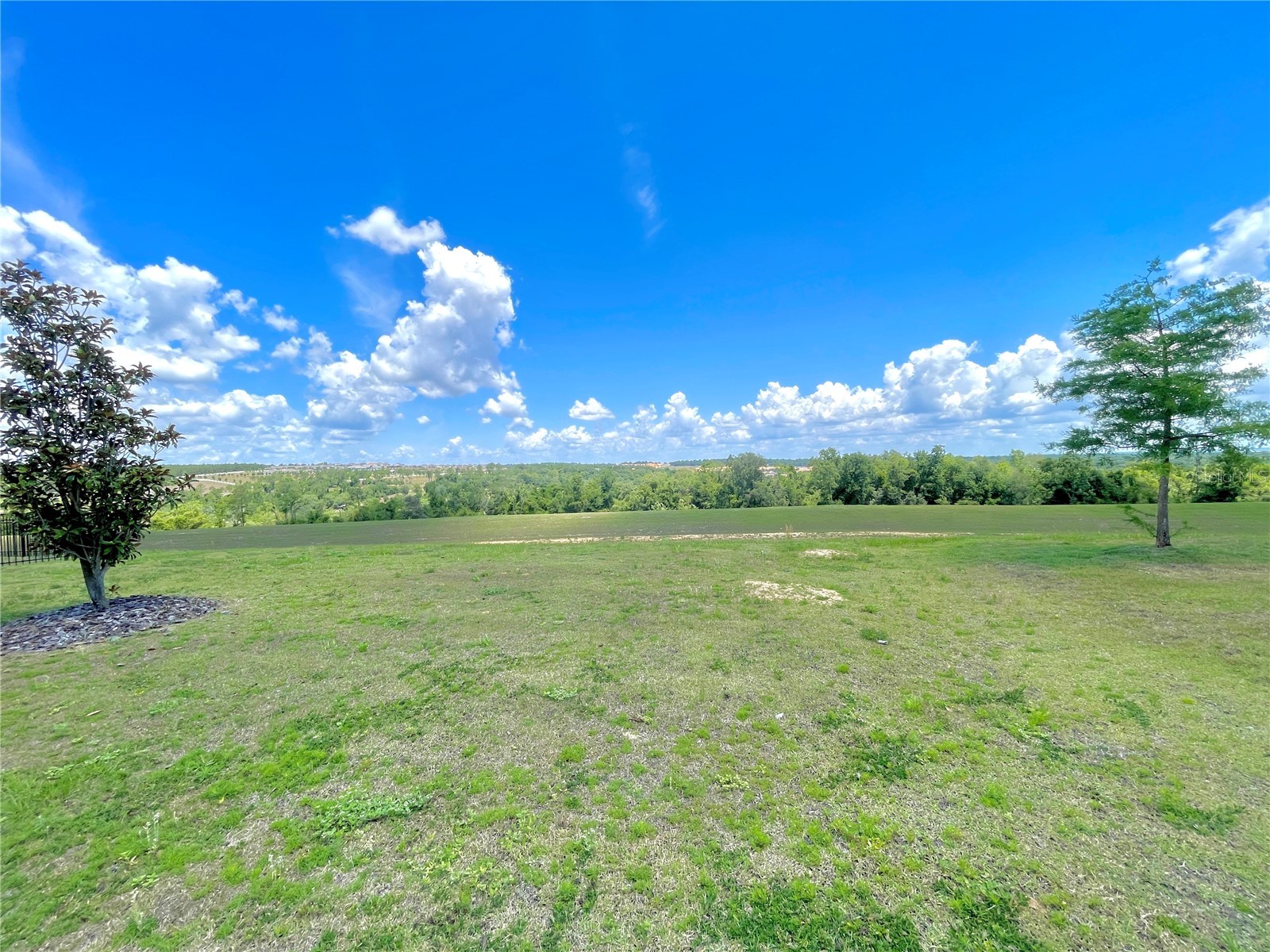 2326 Gold Dust Drive Minneola FL 34715 O6399403 image26