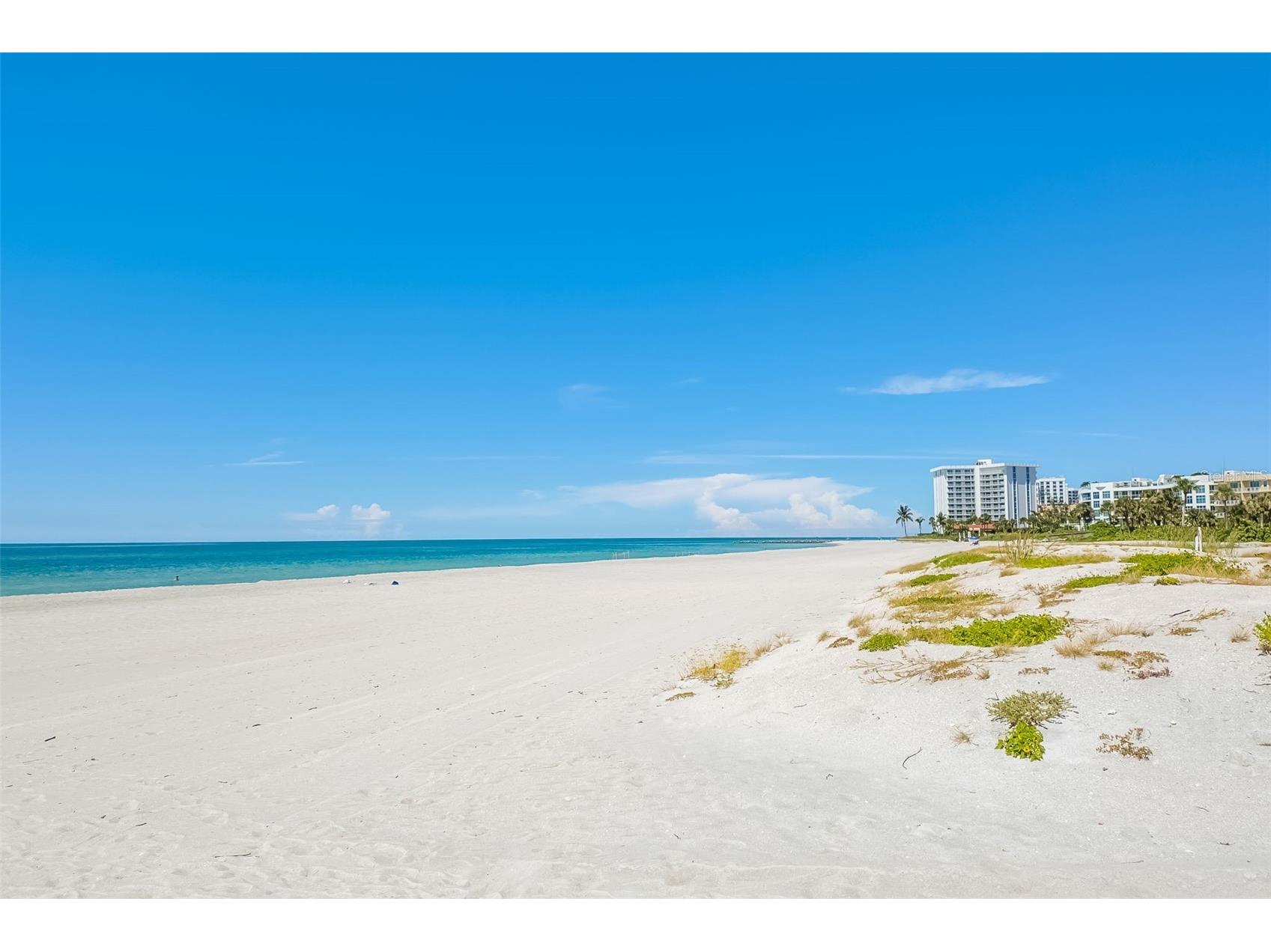 2326 Harbour Oaks Drive Longboat Key FL 34228 A4683180 image71