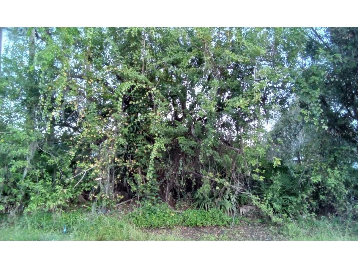 23262 Stelling Avenue Port Charlotte FL 33980 O6165341 image1