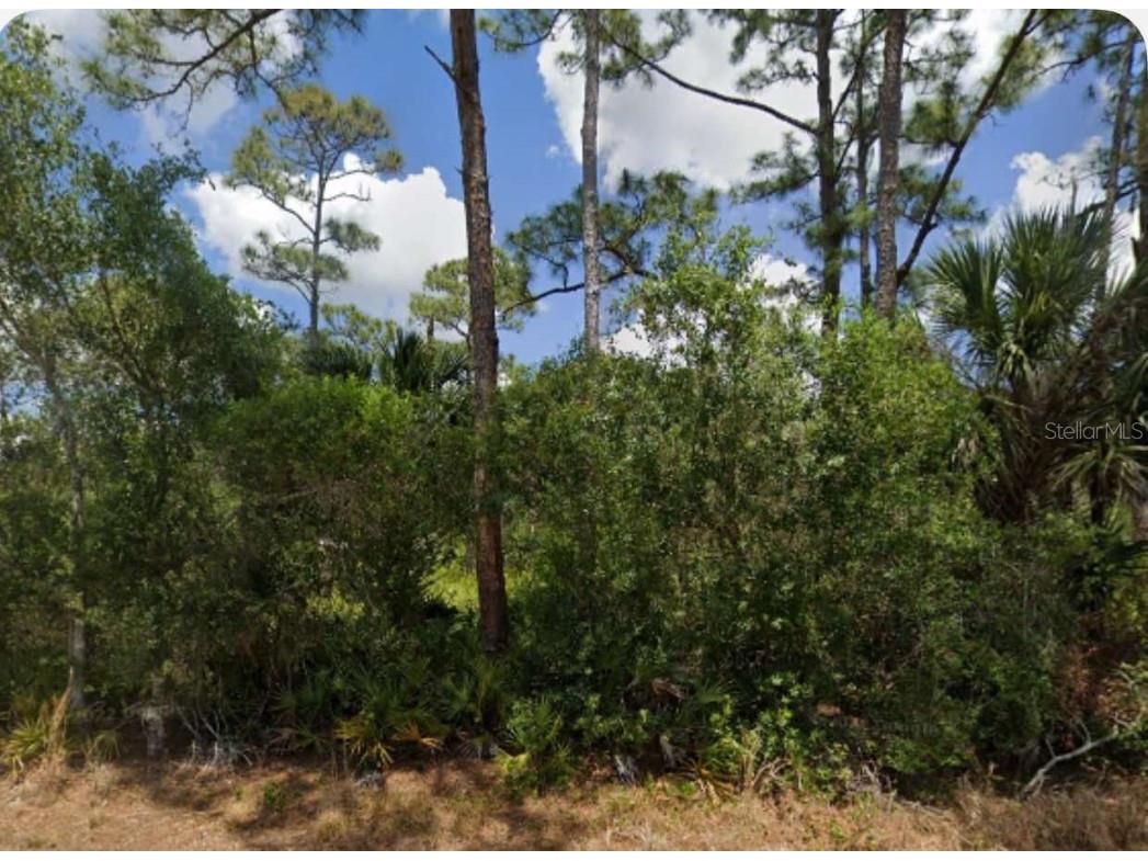 23267 Mcqueeney Avenue Punta Gorda FL 33980 A4666974 image2