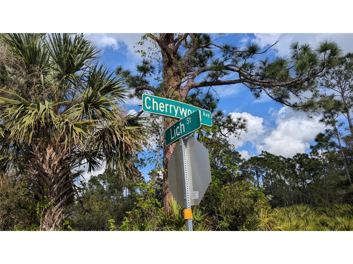 23268 Cherrywood Avenue Punta Gorda FL 33980 D6139674 image1