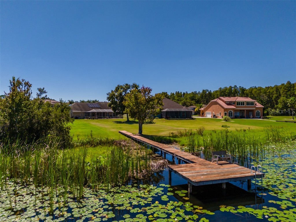 2327 Camp Indianhead Road Land O Lakes FL 34639 - LAKE JOANNE TB8437277 image66
