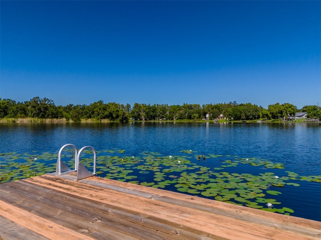 2327 Camp Indianhead Road Land O Lakes FL 34639 - LAKE JOANNE TB8437277 image67