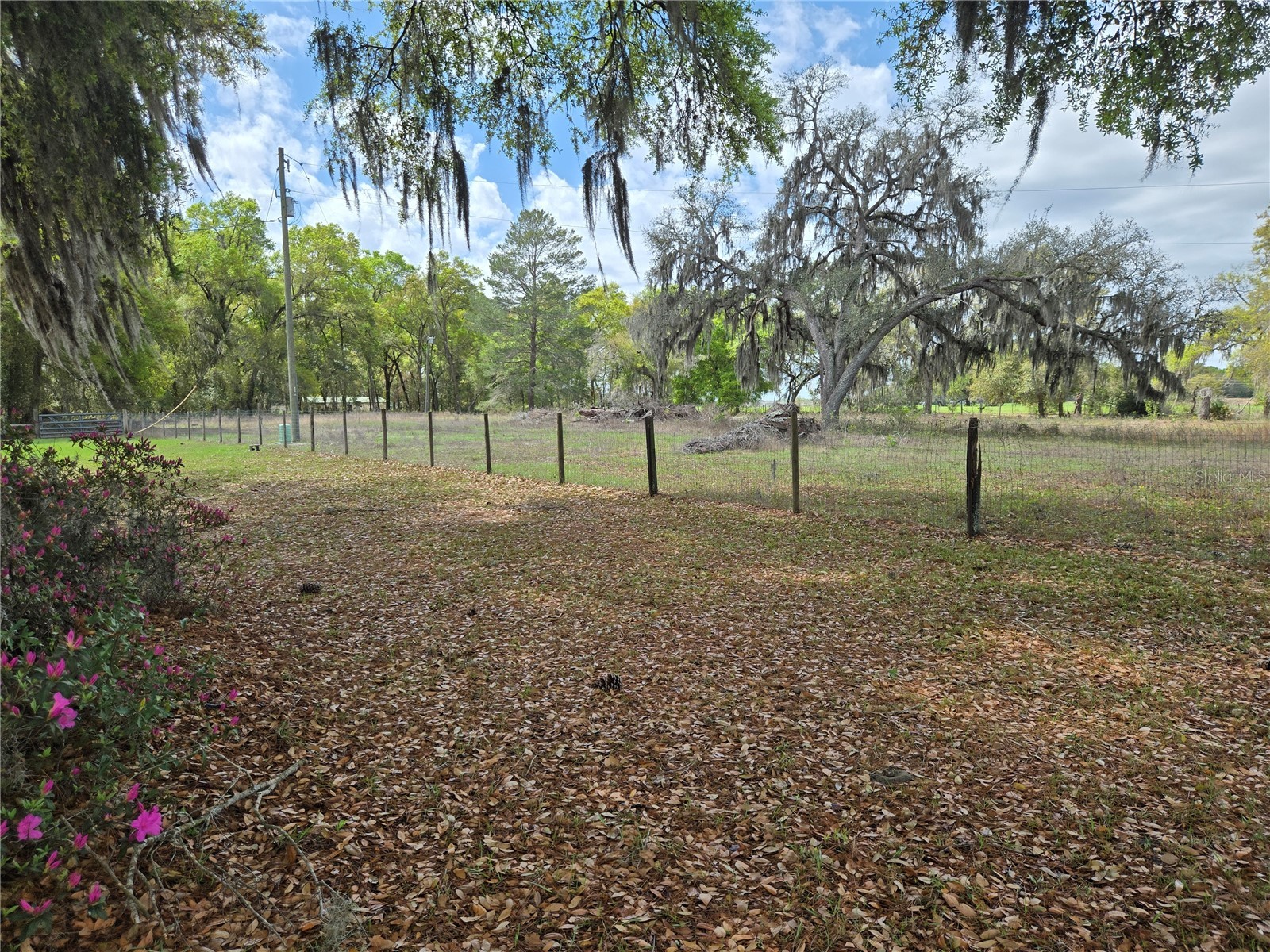 2327 Cr 528 Sumterville FL 33585 OM718933 image4