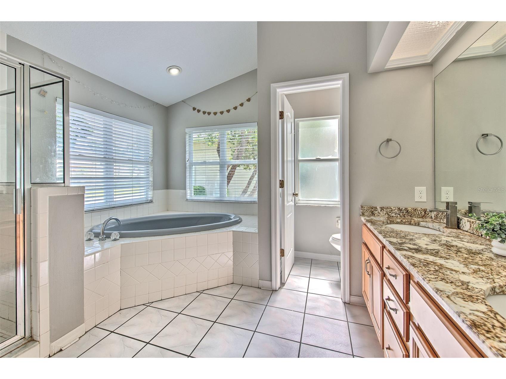 2327 Eagle Bluff Drive Valrico FL 33596 TB8512329 image16