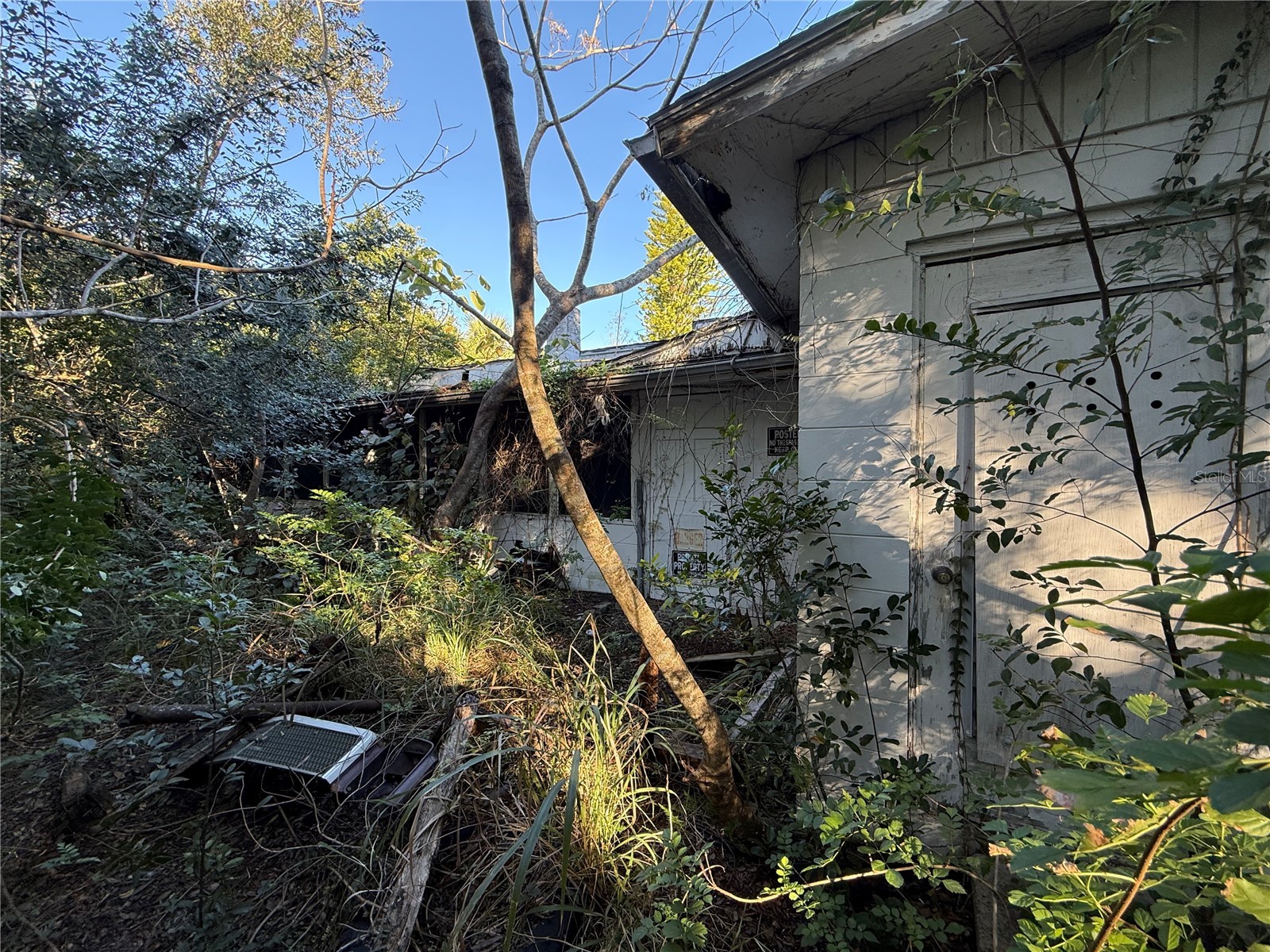 2327 Everett Street Lakeland FL 33801 S5142209 image5